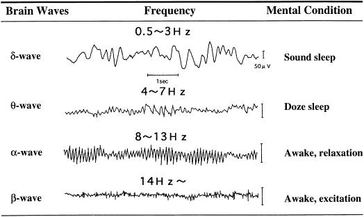  brainwaves 